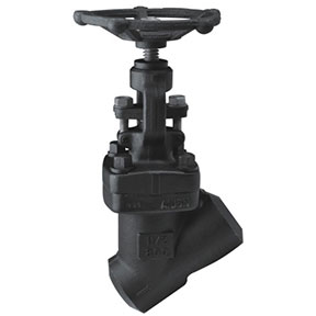 J65H-800Lbp Forged steel globe valve