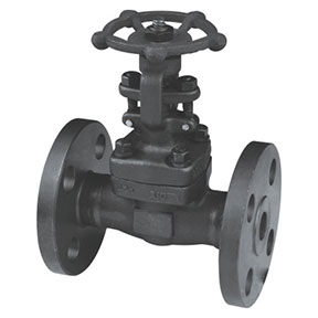 Z41H-300Lb Forged steel gate valve