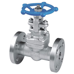 Z41Y-25 Forged steel gate valve