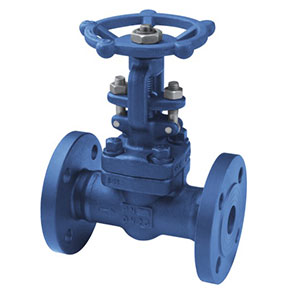 Z41Y-40I Forged steel gate valve