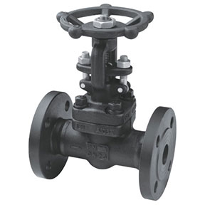 Z41H-16C Forged steel gate valve