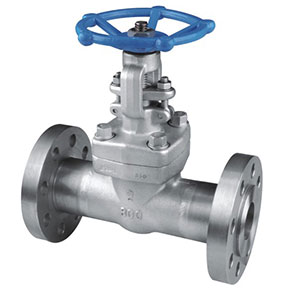 Z41Y-600LbP Forged steel gate valve