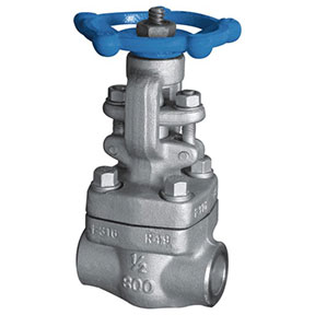 Z61Y-800LbR Forged steel gate valve