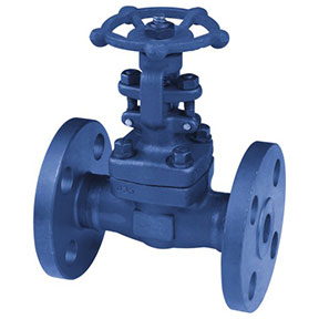 Z41Y-40I Forged steel gate valve