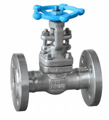 Flanged gate valve