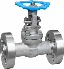 The whole forging flange gate valves F304