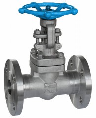 The whole forging flange gate valves F304