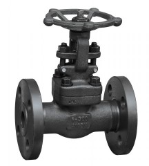 The whole forging flange gate valves