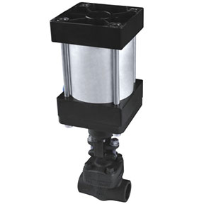 Pneumatic valve