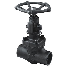 J11H-800Lb Forged steel globe valve
