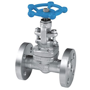 J41R-25P Forged steel globe valve