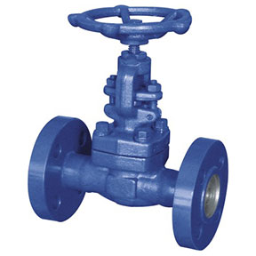 J41Y-100V Forged steel globe valve