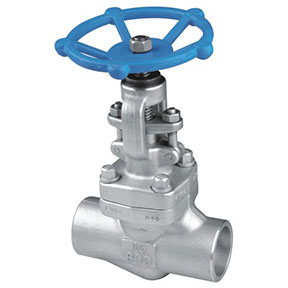 J61Y-800LbP Forged steel globe valve