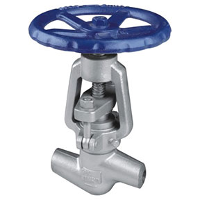 Power station globe valve