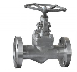 Flange globe valve