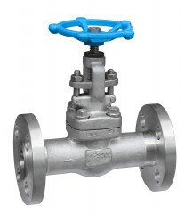 The whole forging flange globe valve F304