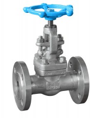The whole forging flange globe valve F304