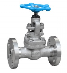 The whole forging flange globe valve