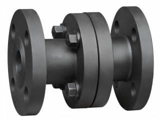 vertical lift check valves