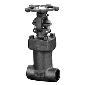 Bellows globe valve