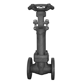 Bellows gate valve