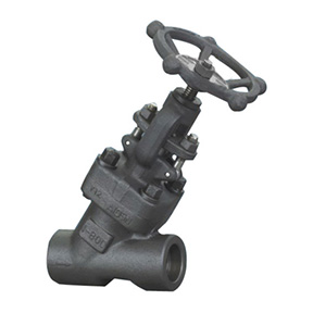 Y type bellows globe valve